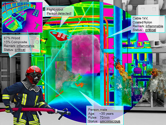 Figure 1d vision